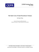 Chi phí tĩnh của bảo hộ thương mại ở việt nam (tiếng anh)