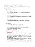 nguồn vốn hoạt động của ngân hàng thương mại