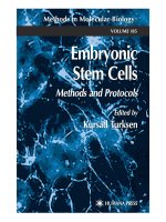 embryonic stem cells, methods and protocols - kursad turksen
