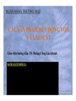 Thuyết trình Các sản phẩm huy động vốn và lãi suất huy động của các ngân hàng