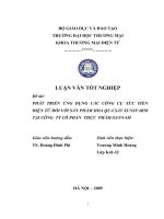 PHÁT TRIỂN ỨNG DỤNG CÁC CÔNG CỤ XÚC TIẾN ĐIỆN TỬ ĐỐI VỚI SẢN PHẨM HOA QUẢ SẤY SUNSFARM TẠI CÔNG  TY CỔ PHẦN  THỰC  PHẨM SANNAM