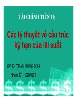 tiểu luận các lý thuyết về cấu trúc kỳ hạn của lãi suất