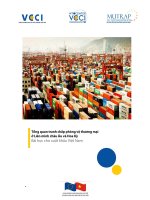 Tổng quan tranh chấp phòng vệ thương mại ở Liên minh châu Âu và Hoa Kỳ doc