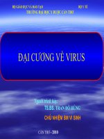 ĐẠI CƯƠNG VỀ VIRUS pot