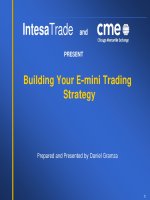 building your e-mini trading strategy - giuciao atspace org