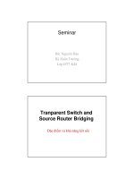 Transparent switch và source route bridge, đặc điểm và khả năng kết nối