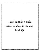 Huyết áp thấp + thiếu máu - nguồn gốc của mọi bệnh tật pdf