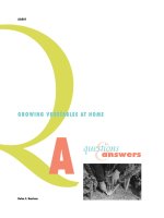 vegetables. growing vegetables at home. questions and answers