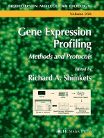 gene expression profiling, methods and protocols