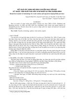 Kết quả xây dựng mô hình chuyển giao tiến bộ kỹ thuật sản xuất dưa hấu và bí ngồi tại tỉnh Quảng Bình ppt