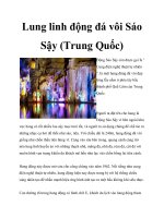 Lung linh động đá vôi Sáo Sậy (Trung Quốc) pdf