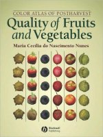 nunes - color atlas of postharvest quality of fruits and vegetables (blackwell, 2008)