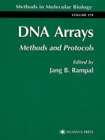dna array method and protocols
