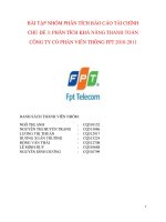 Phân tích báo cáo tài chính (bài tập nhóm)