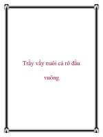 Trầy vẩy nuôi cá rô đầu vuông docx