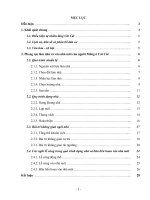 bảo tồn làng truyền thống dân tộc mông, chuyên đề “lễ dựng nhà và vào nhà mới của người mông ở cát cát