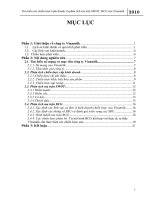 Thảo luận tìm hiểu các chiến lược kinh doanh và phân tích ma trân SWOT, BCG của vinamilk