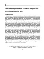 gene isolation and mapping protocols