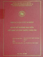 khóa luận tốt nghiệp quan hệ thương mại giữa việt nam và các nước châu phi