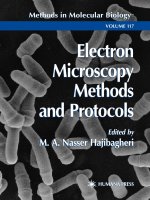 electron microscopy methods and protocols