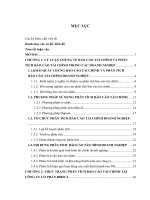 Đề tài : Hoàn thiện phân tích báo cáo tài chính tại công ty cổ phần bibica