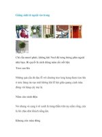 Giáng sinh từ ngoài vào trong doc