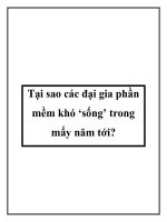 Tại sao các đại gia phần mềm khó ‘sống’ trong mấy năm tới? potx
