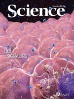 Tạp chí khoa học số  2006-12-01