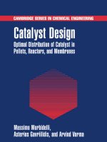 catalyst design optimal distribution of catalyst in pellets, reactors, and membranes