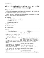 Giáo án bài Các nhân tố ảnh hưởng đến phát triển C.nghiệp - Địa 9 - GV.N M Thư