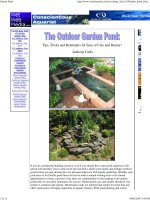 garden pond. tips, tricks and reminders