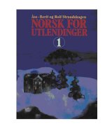 norsk for utlendinger 1