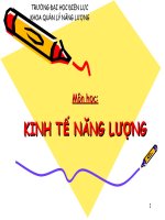 Kinh tế năng lượng