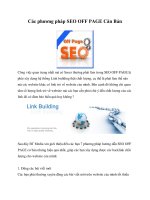 Các phương pháp SEO OFF PAGE Căn Bản pptx