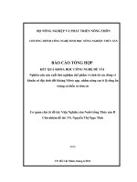 Nghiên cứu sản xuất thử nghiệm chế phẩm vi sinh từ các dòng vi khuẩn có đặc tính đối kháng vibrio spp  nhằm nâng cao tỉ lệ sống ấu trùng cá biển và tôm sú