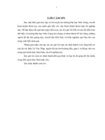 khóa luận tốt nghiệp đánh giá sự hài lòng về chất lượng dịch vụ mạng beeline tại thành phố nha trang