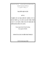 Nghiên cứu sự thay đổi sức chống cắt và hệ số nhớt (n) của đất loại sét theo thời gian và áp dụng tính toán ổn định đê ở Đồng bằng sông Cửu Long