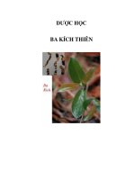 dược học - ba kích thiên