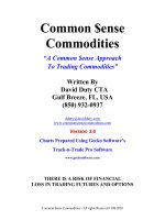 common sense commodities a common sense approach to trading commodities