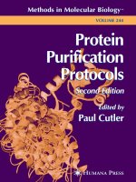 protein purification protocols, 2nd ed