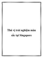 Thú vị trải nghiệm màu sắc tại Singapore pptx
