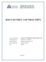 BÁO CÁO THỰC TẬP TẠI CÔNG TY TNHH DỊCH VỤ HÀNG HÓA doc