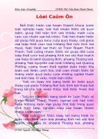 Hiệu quả sử dụng đất canh tác tại xã Quảng Phương, huyện Quảng Trạch, tỉnh Quảng Bình