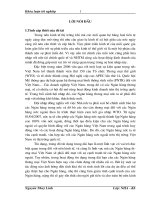 Giải pháp hạn chế rủi ro tín dụng trung dài hạn tại Ngân hàng Ngoại Thương Việt Nam”.