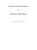 blasone m. canonical transformations in qft