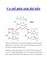 Cơ chế phát sinh đột biến pptx