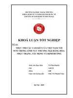 Thực thi cam kết của Việt Nam với WTO trong lĩnh vực thương mại hàng hoá thực trạng tác động và định hướng