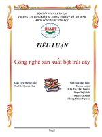 công nghệ sản xuất bột trái cây