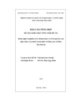 Tổng hợp, nghiên cứu tính chất và ứng dụng vật liệu ống nano đơn tường, đa tường