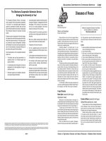 flowers. diseases of roses